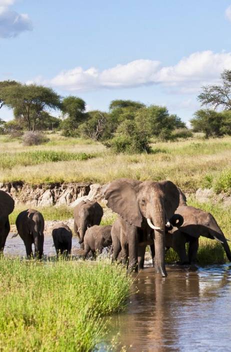 Tarangire, Serengeti & Ngorongoro Crater Tarangire, Serengeti & Ngorongoro Crater